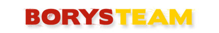 Logo Borys Team - wypożyczalnia samochodów