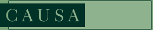 Logo CAUSA-Biuro Pomocy Poszkodowanym