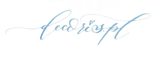Logo Decoris