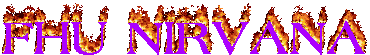 Logo FHU NIRVANA Maciej Felczak