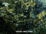 Verde Uba Tuba