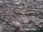 GRANIT Brown Teak