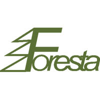 Logo Foresta Place Zabaw