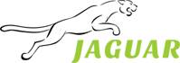 Logo Jaguar - Międzynarodowy przewóz osób