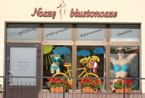 Logo Noszę Biustonosze - salon brafittingu