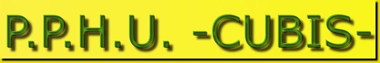 Logo P.P.H.U.-CUBIS- 