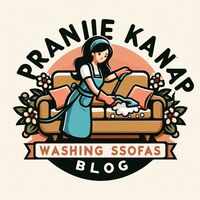 Logo Portal branżowy Pranie Kanap