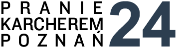 Logo Praniepoznan.pl