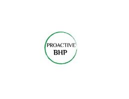 Logo Szkolenia BHP Łódź kadry i płace Proactive BHP