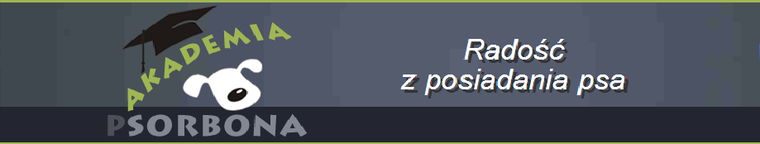 Logo Akademia Psorbona