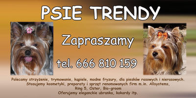 Logo Psie Trendy  