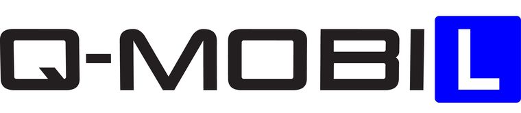 Logo Badania Kierowców