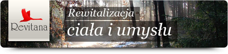 Logo Revitana - Andrzej Baranowski