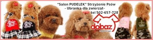 Logo Salon Pudelek Mińsk Mazowiecki, groomer, psi fryzjer, strzyżenie psów