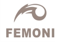 Logo FEMONI - skup złomu węglików spiekanych, stali hss i cyny