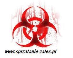Logo Zaleś Zalewski Paweł
