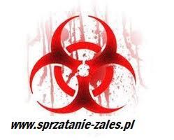 Logo "ZALEŚ" Paweł Zalewski