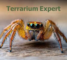 Logo Terrarium Expert