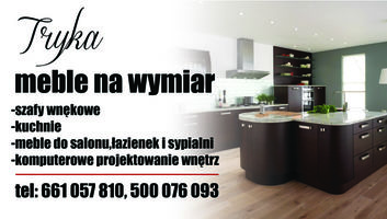 Logo TRYKA  meble na wymiar --Paweł Tryka 