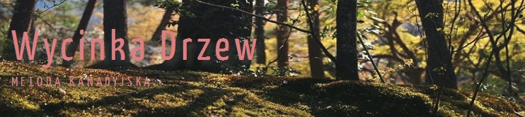 Logo Wycinka drzew metodą kanadyjską